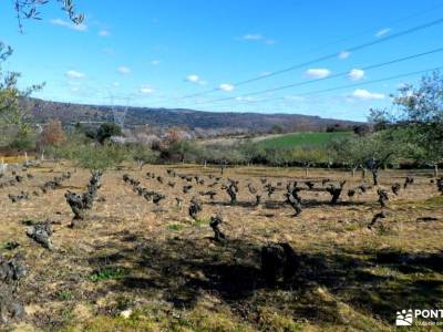 Camino de Hierro-Pozo de los Humos; parque natural cuenca alta del manzanares que hacer este fin de 